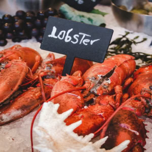 fresh lobster display on ice
