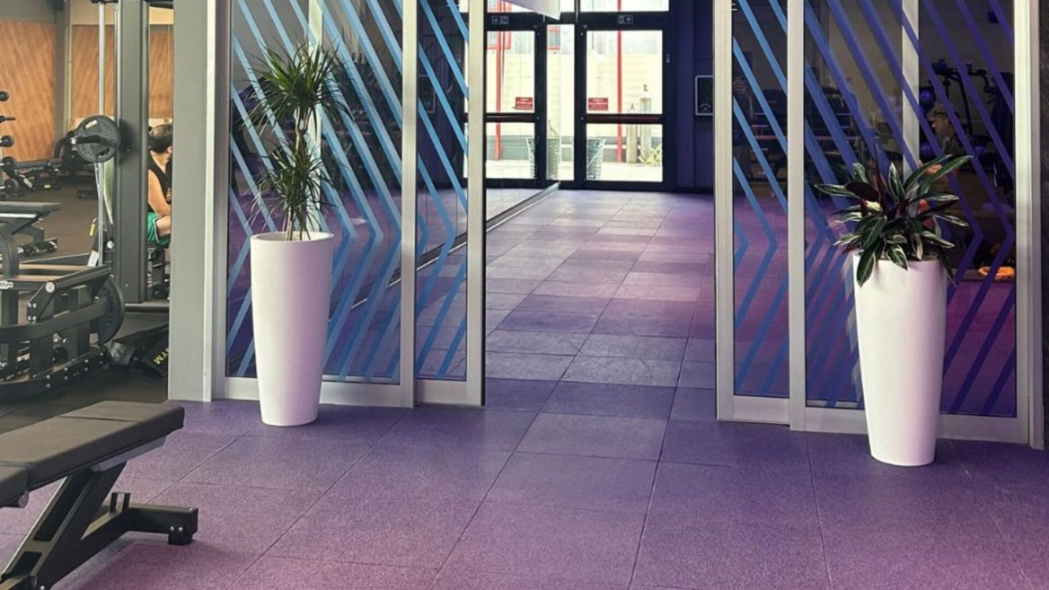 interno moderno di palestra con vetrate e piante