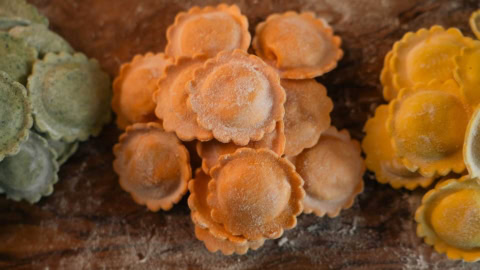 champignons colorés sur bois mort en macro