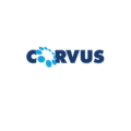 corvus blue logo with circular dot emblem