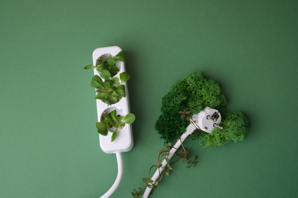 prise Électrique verte, plantes et nature