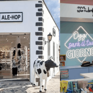 comparativa de tiendas ale hop y mr. wonderful