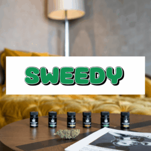 lounge cannabis sweedy con design luxury