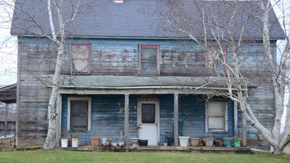 weathered blue house with bare birch trees