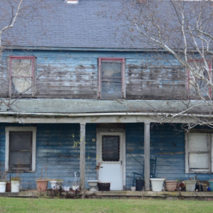 weathered blue house with bare birch trees
