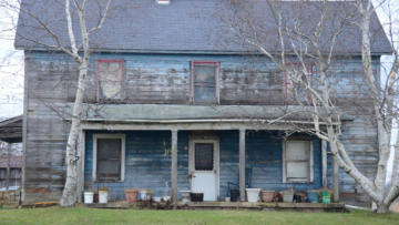 weathered blue house with bare birch trees