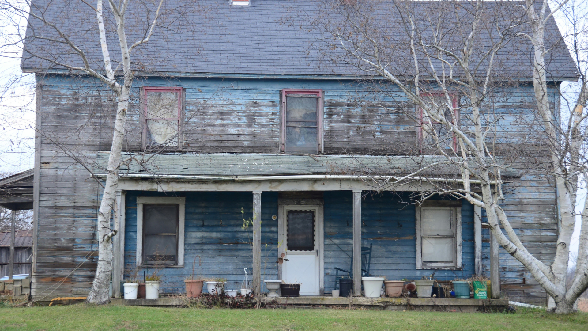 weathered blue house with bare birch trees