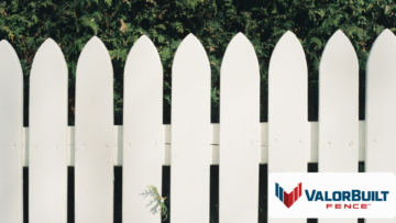 white picket fence with evergreen hedge