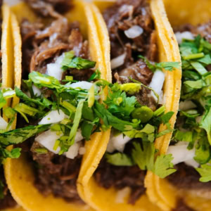beef tacos with cilantro and onion