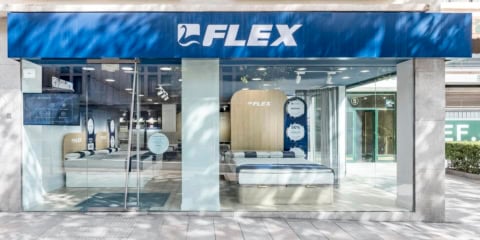Flex 13