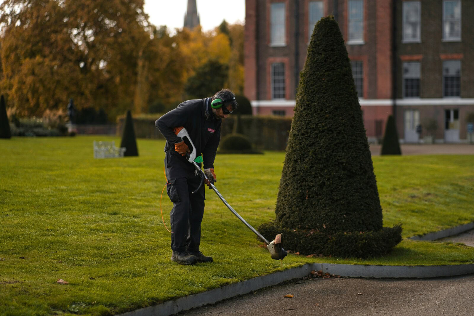 gardener trimming topiary in formal garden