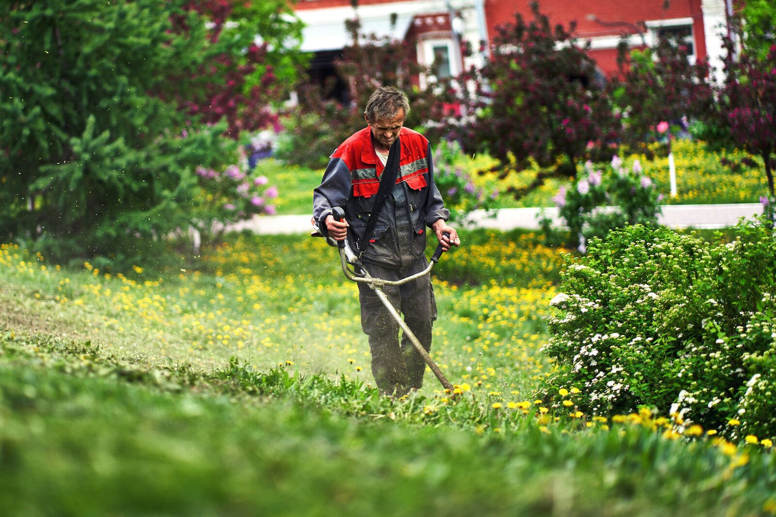 gardener trimming grass in flowering park