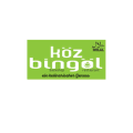 logo höz bingo! en carré vert moderne