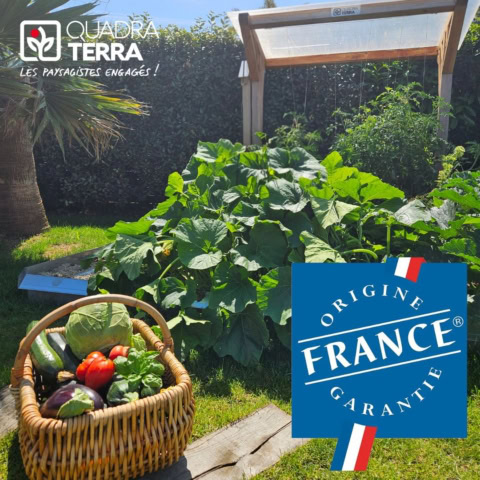 jardin potager luxuriant, panier de légumes français