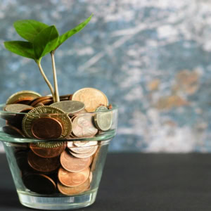 money plant rising from coins in glass cup