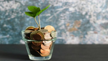 money plant rising from coins in glass cup