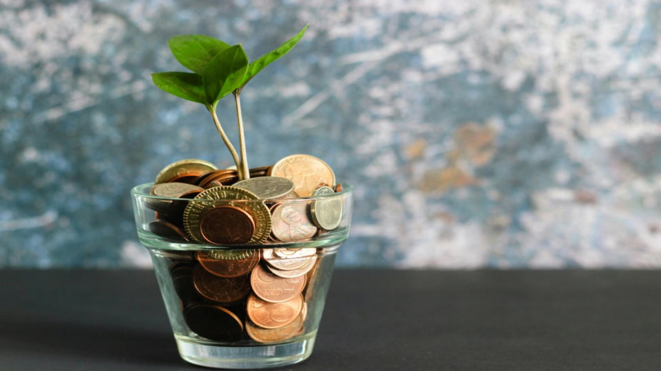 Pool Franchise Low cost franchises UK 2026: opportunities under £10,000