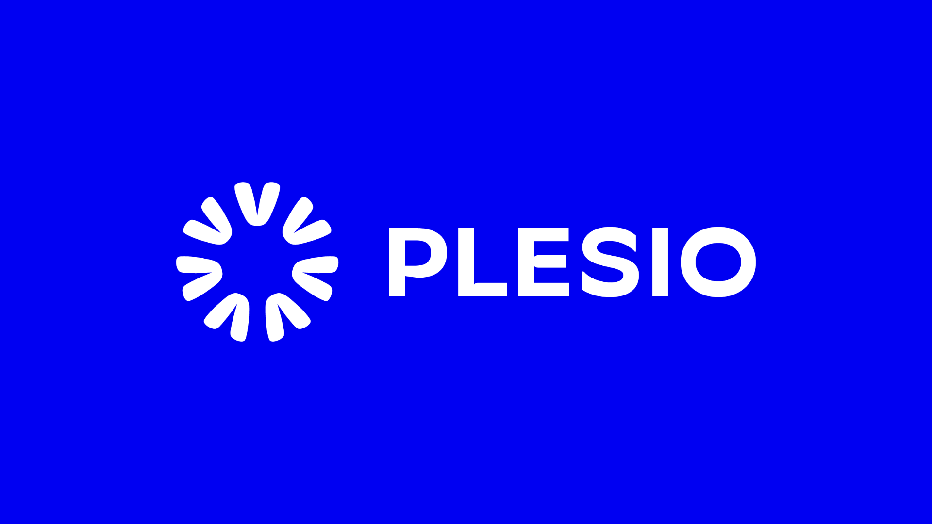 logo plesio bleu et blanc moderne