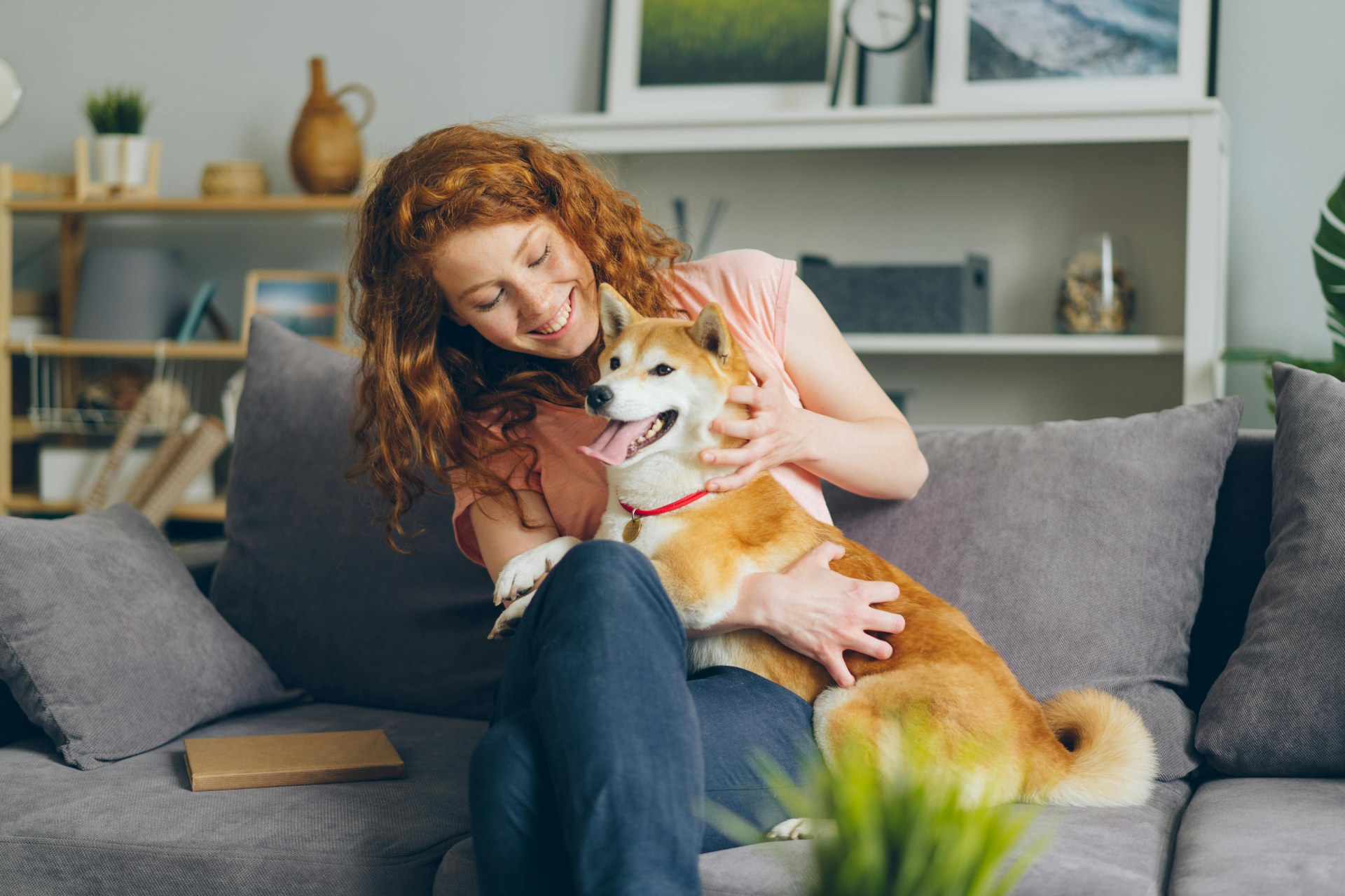 woman cuddling shiba inu on sofa