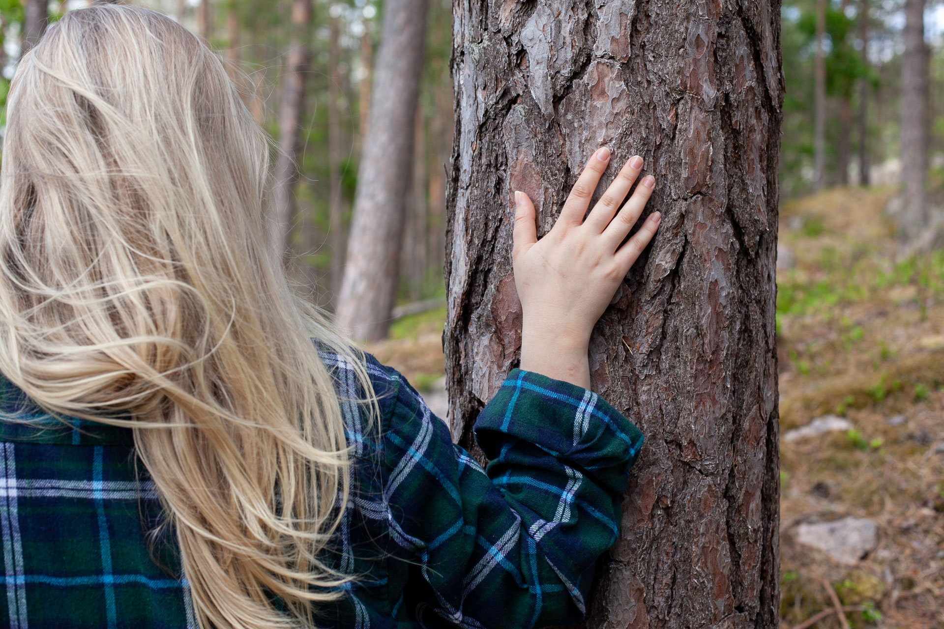 la femme touche le tronc d arbre jt 03561