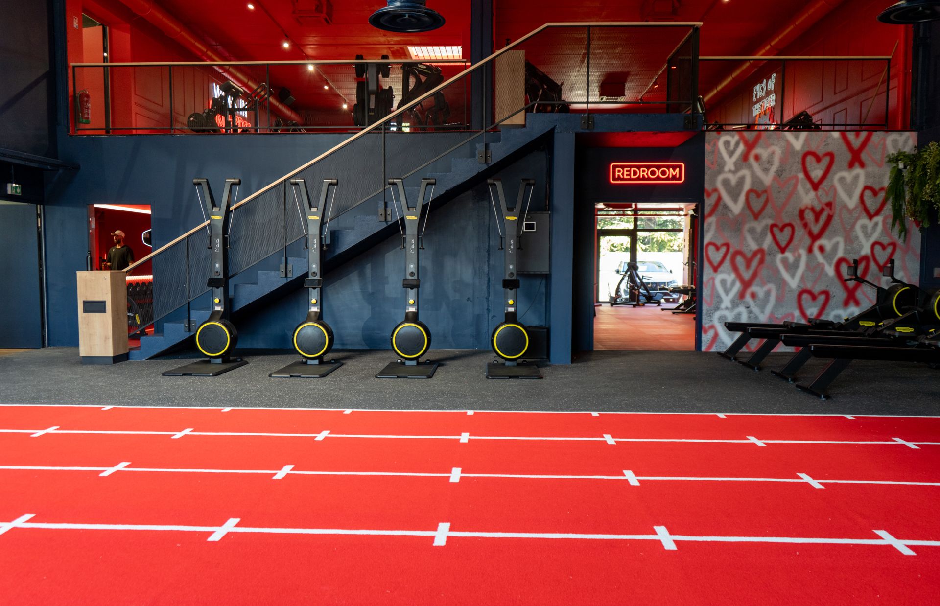 neoness marguerittes