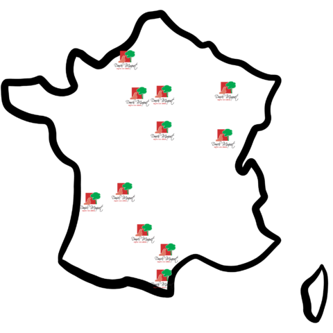 design sans titre 12