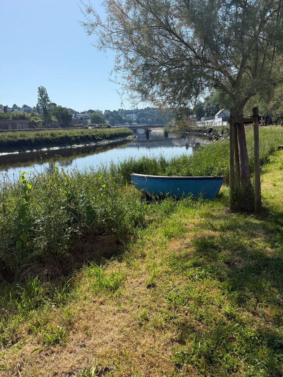 photo 2026 06 22 15 04 12 3