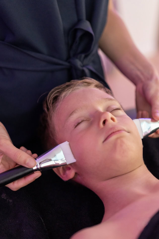 iris willy spa logo 145