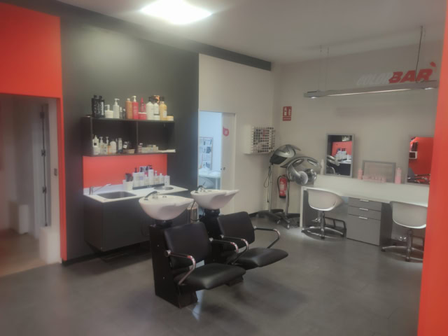 salon martin el humano 22 4